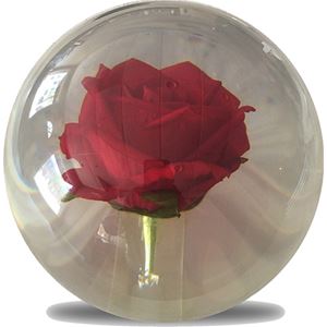 Rose Bowling Ball - On the Ball - 14.5lb Only